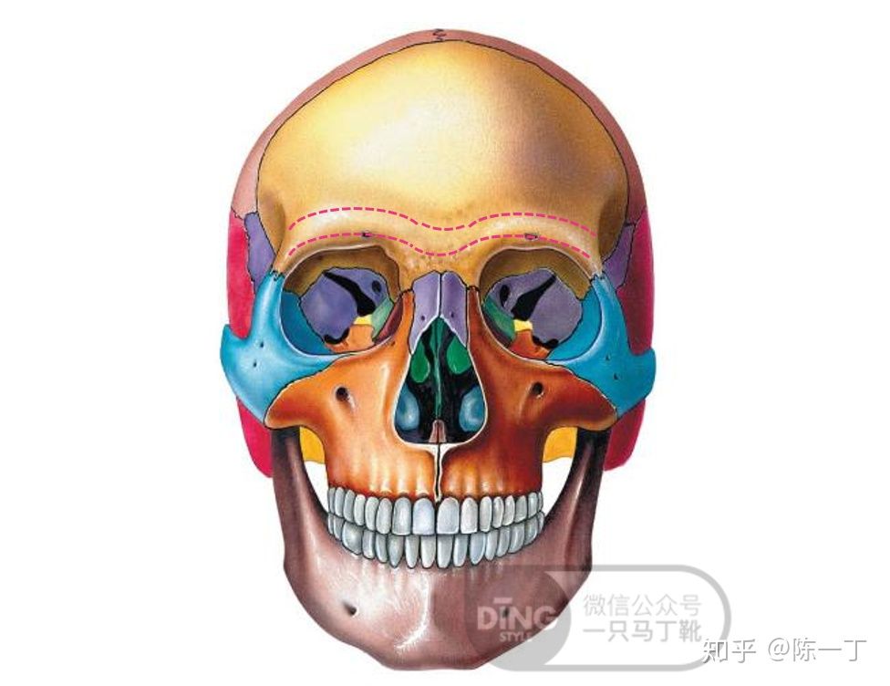 童瑶也是短圆眼为什么不像赵丽颖那样把眼睛化长化精致