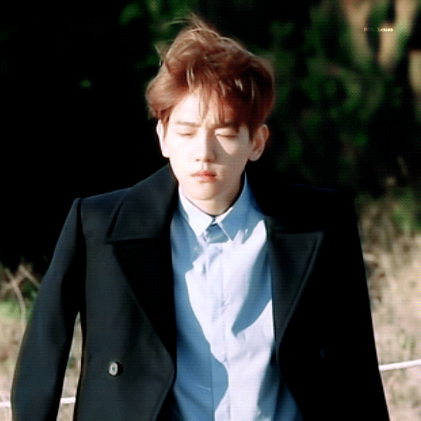 玩味恋爱——边伯贤—1腹黑金主“爸爸”与单纯傻“女儿”