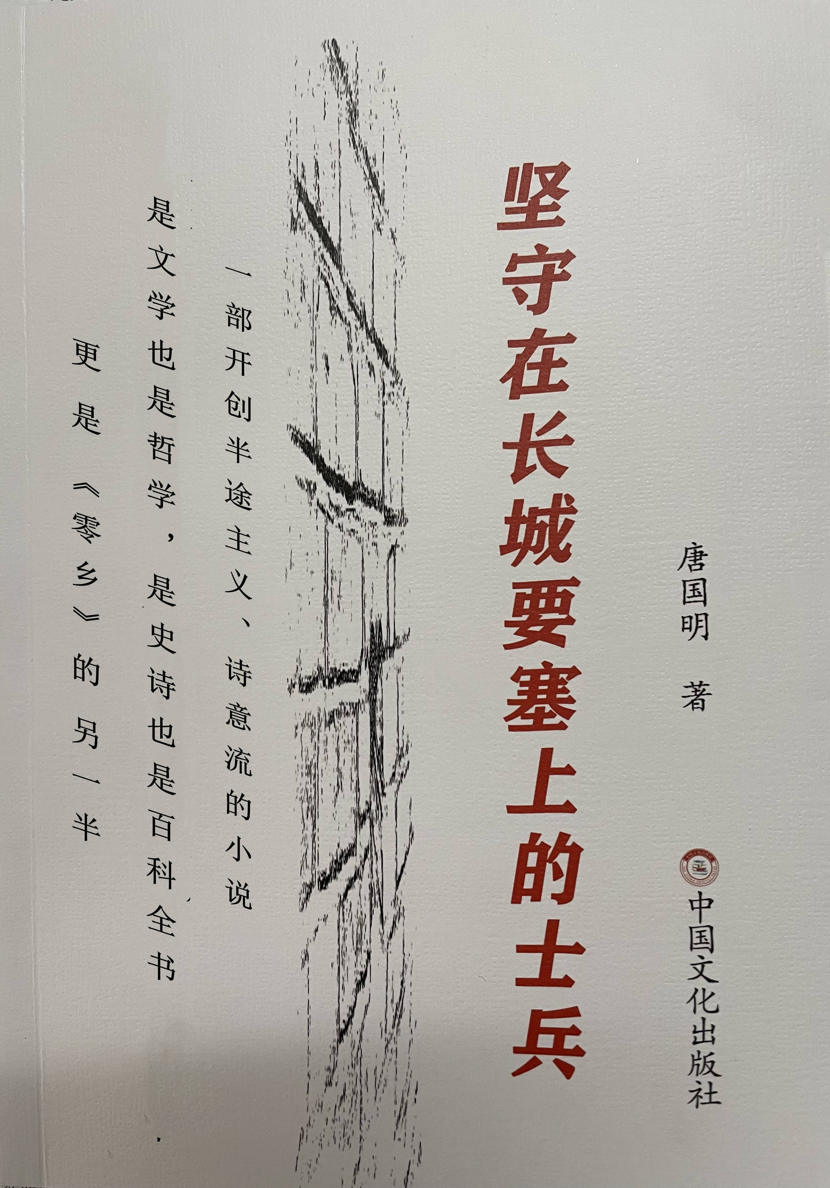 最高級のスーパー 新訳 紅楼夢 第81～100回 第6冊 文学/小説