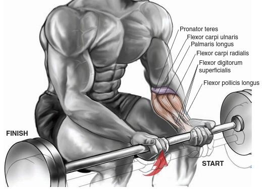 怎么给篮球技术一个质的提高?