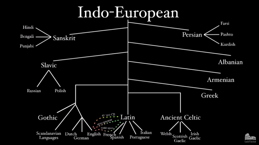 印欧语谱系树图片