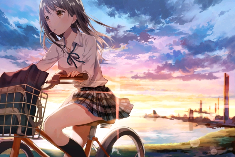 动画 动漫杂谈 精美插画/壁纸【夕阳/午后/少女】专栏内图片将会在