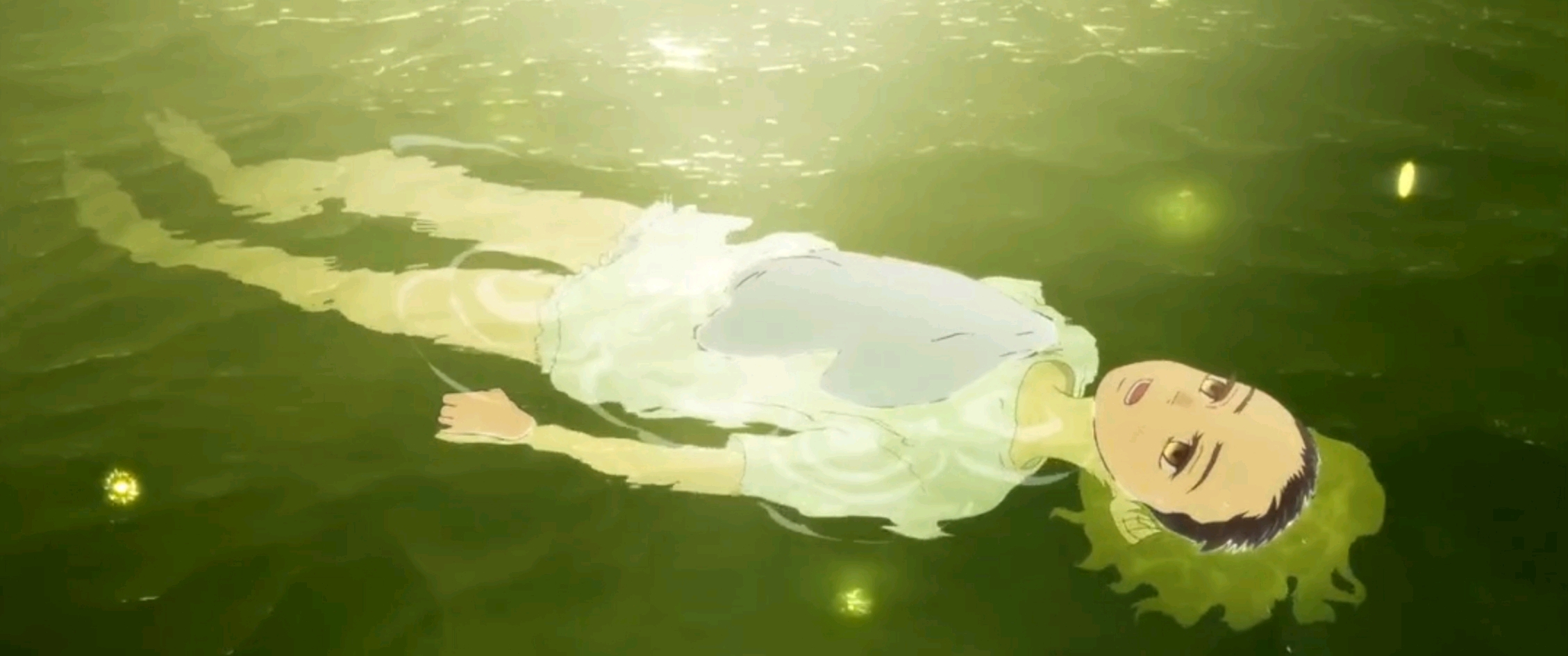 海兽之子芥子纳须弥一花一世界且看且珍惜能带给你思考的动画