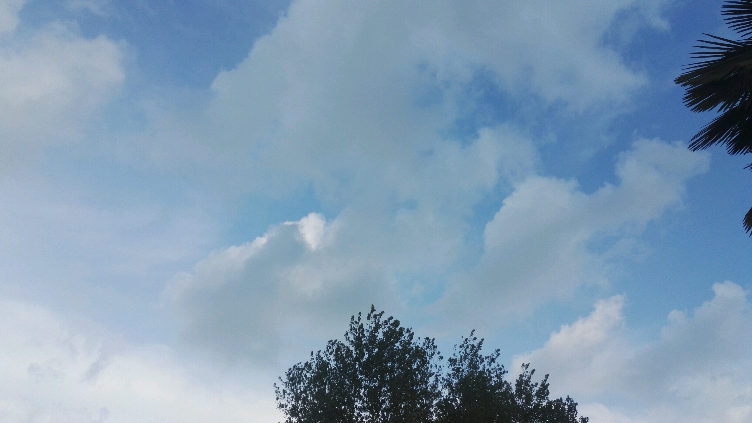 今天,萬里無雲的天空飄著一朵雲.