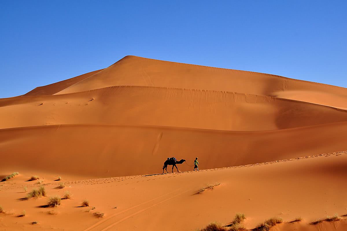 飞沙大漠黄金色,阳光驼队撒哈拉
