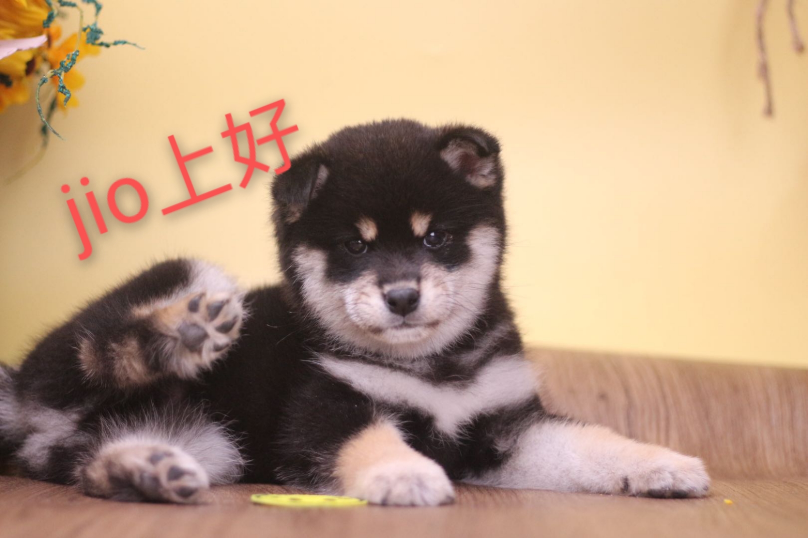 哈希娱乐- 哈希游戏平台- 哈希游戏官方网站天极网_专业IT门户