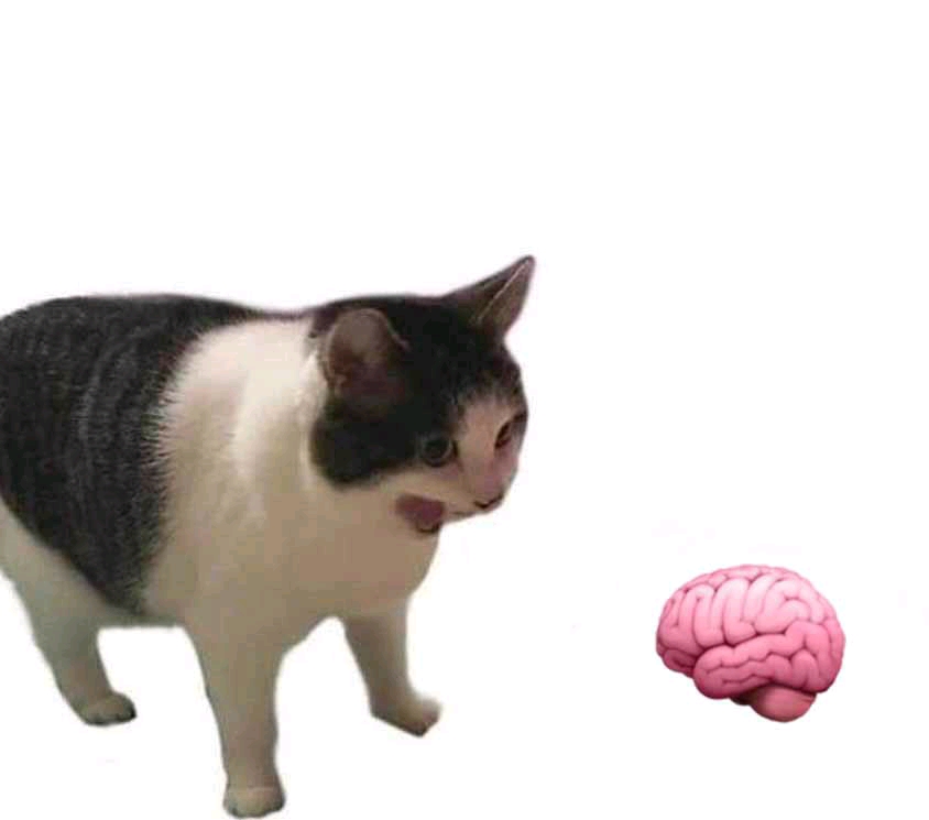  meme 