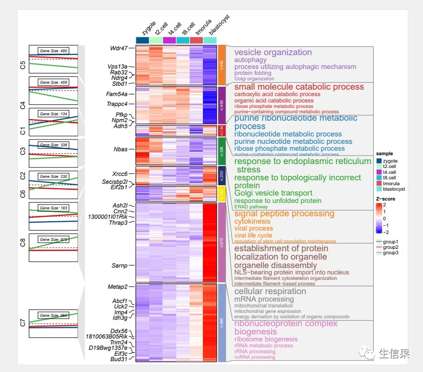 三分钟学会如何绘制聚类+基因表达趋势+功能注释组合图 - 哔哩哔哩