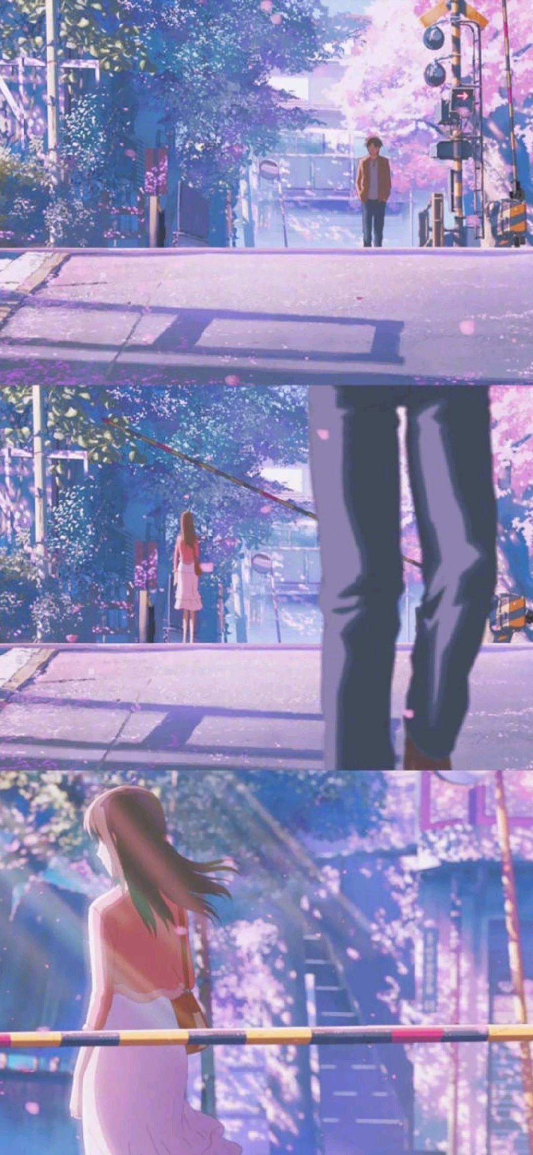 致我此生最爱的秒速五厘米