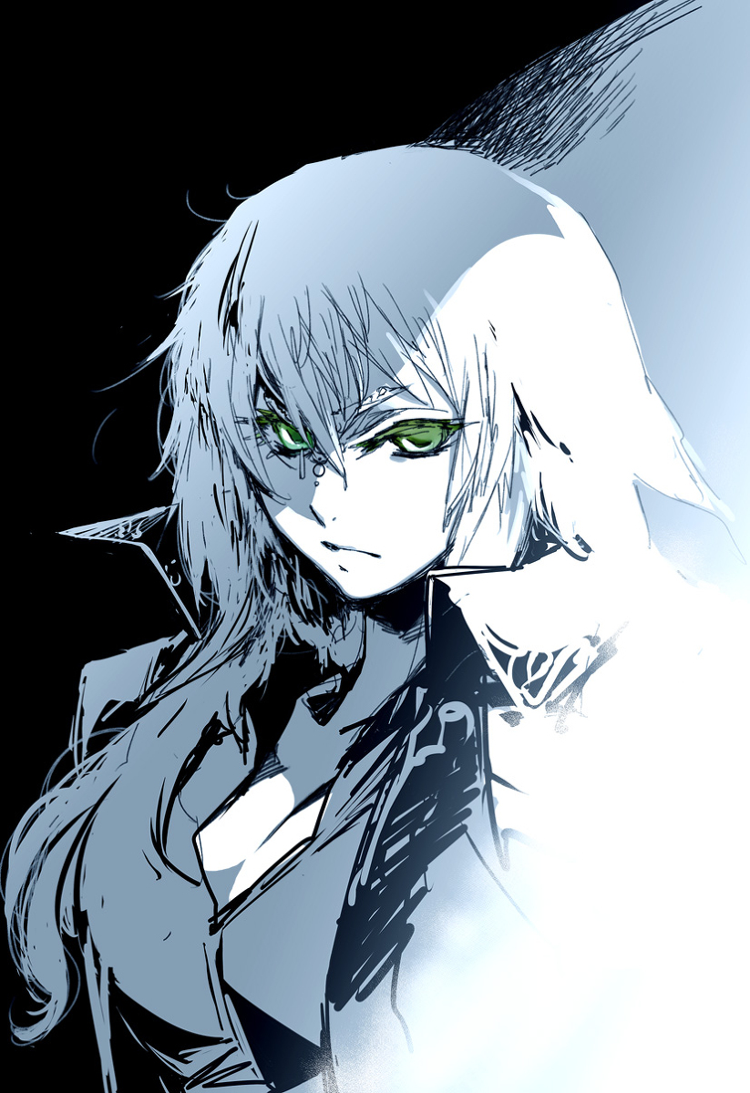 收藏向fgo官方画师图鉴 黑枪呆 白枪呆 阿尔托莉雅?