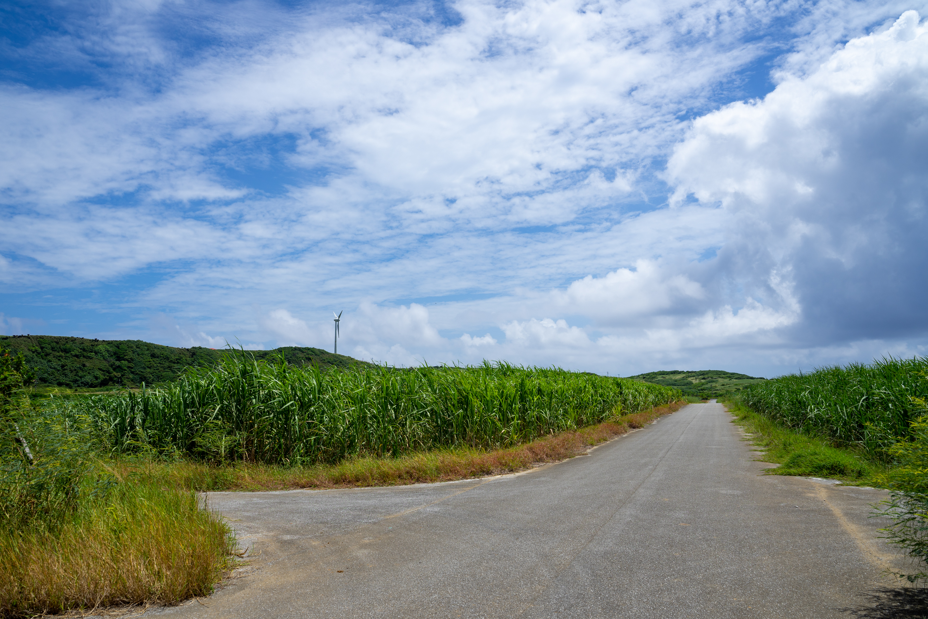 向边境出发夏空彼方夏空カナタ舞台探访巡礼与那国岛