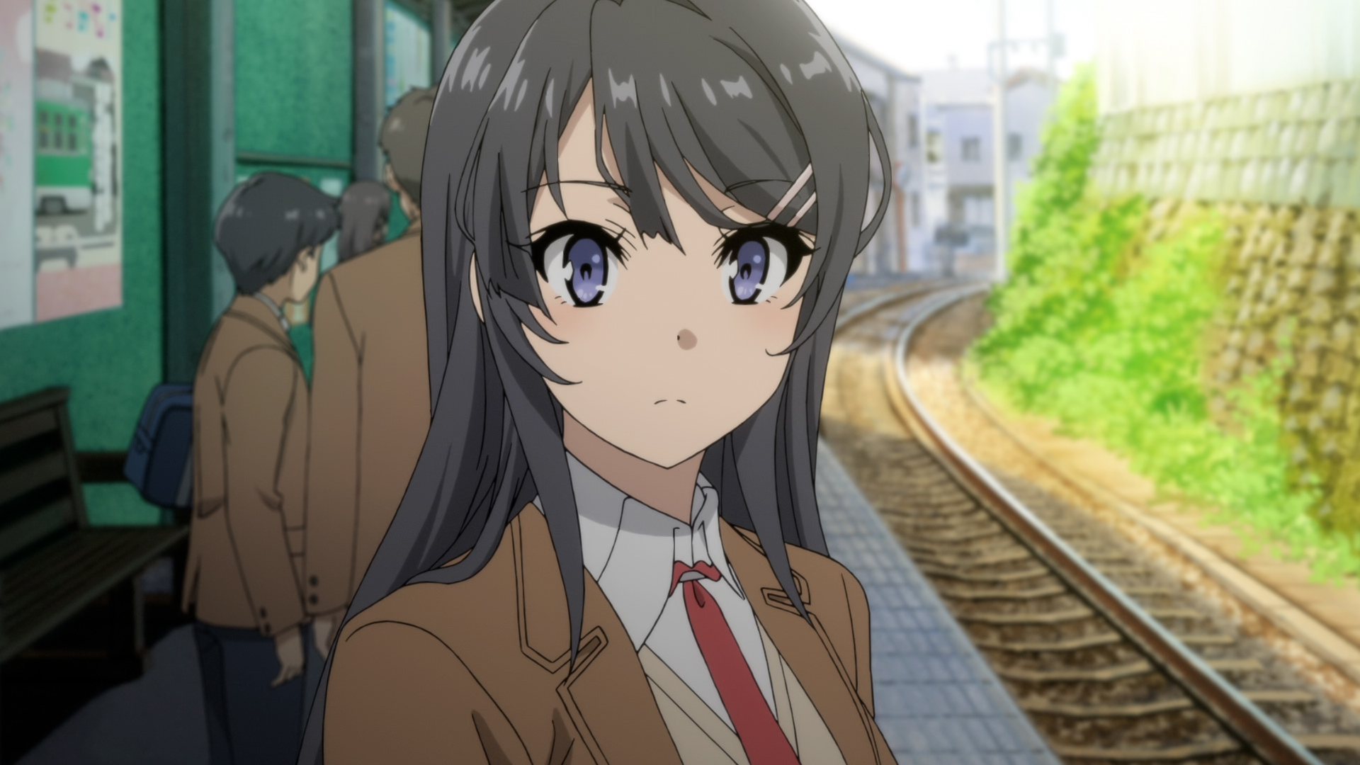《青春猪头少年不会梦见兔女郎学姐》