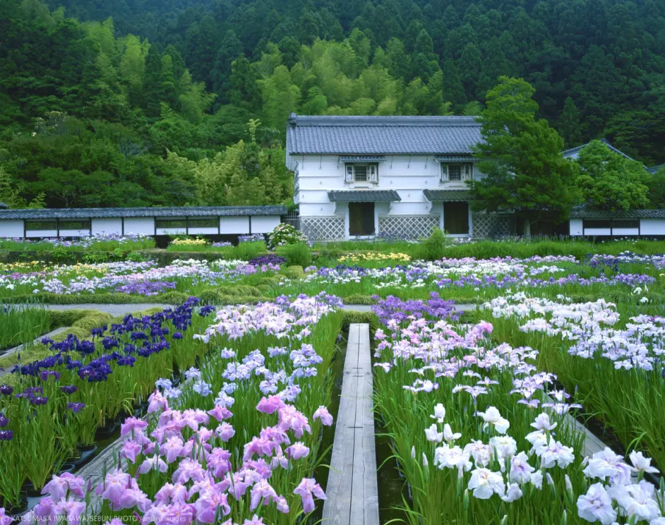 我很好奇 冰菓 富农 千反田家 在哪 哔哩哔哩