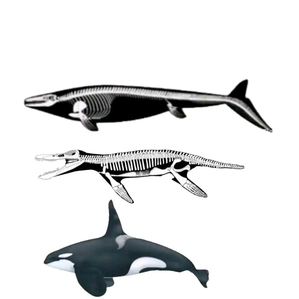 最新霍夫曼沧龙粗壮版霸气复原图