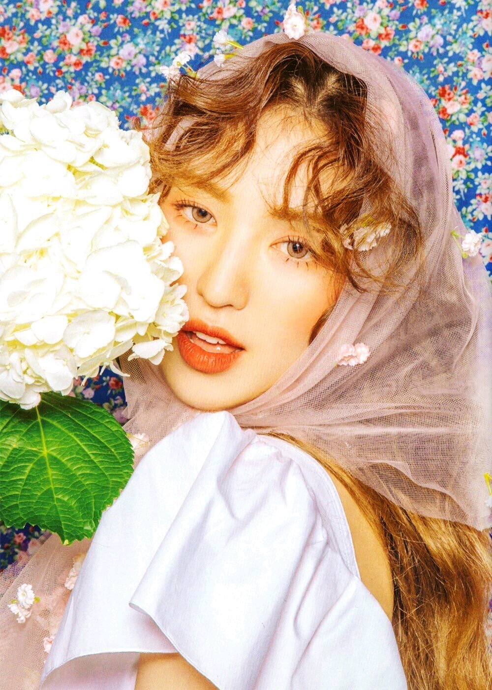 redvelvet红贝贝日专sappy高清官方图片