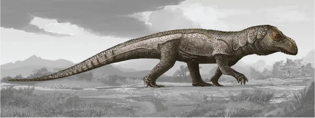 果真龙如其名——阿希利龙小传