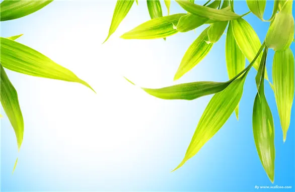 地道英语音标发音百度云通关班 纯正国际音标零基础攻破 哔哩哔哩