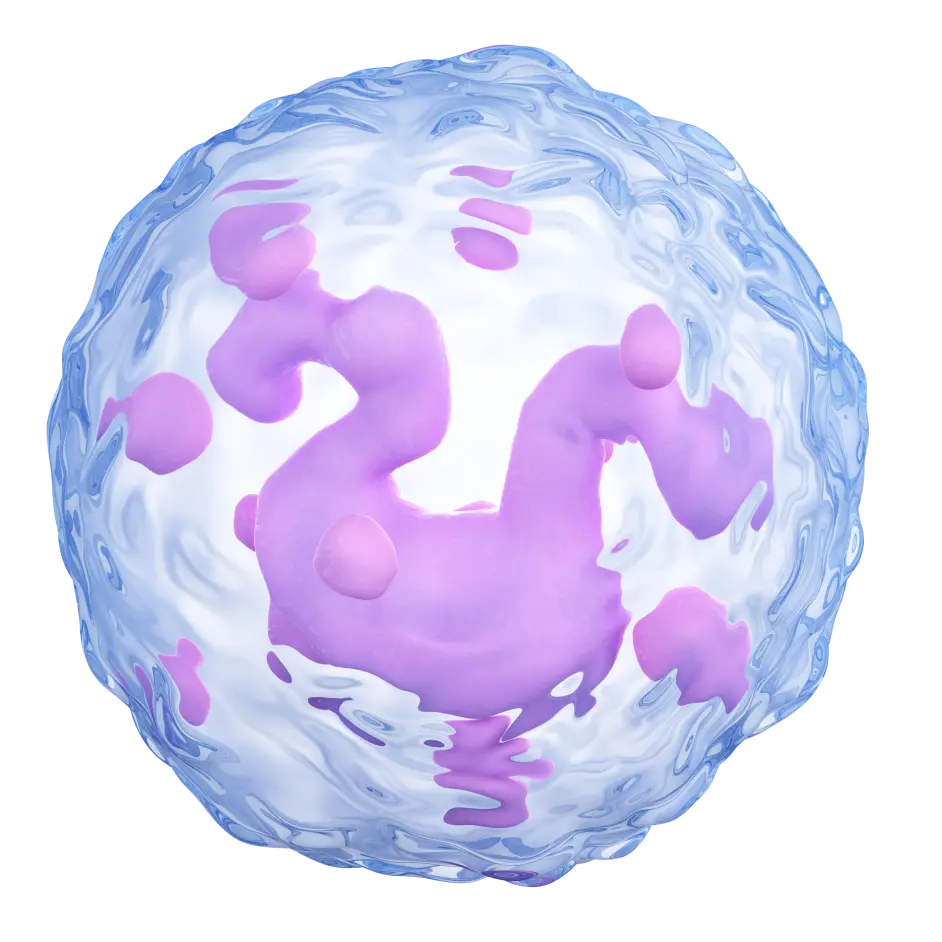 一文详解基因敲除ags细胞系 源井生物 哔哩哔哩