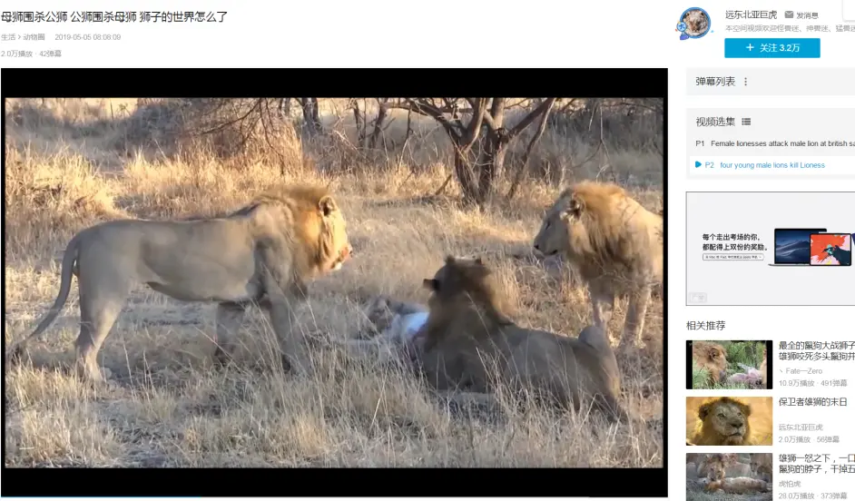 坏男孩老六t先生现在在b站被黑的很厉害纪录片得背锅 哔哩哔哩 坏男孩老六t先生现在在b站被黑的很厉害纪录片得背锅 哔哩哔哩