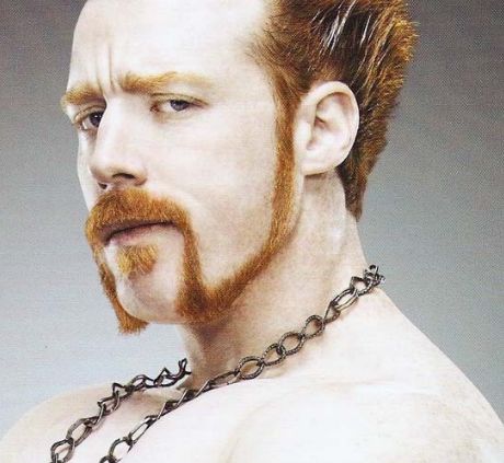 希莫斯(sheamus) 希莫斯在wwe也已经工作了近10年,算是一位老员工了.