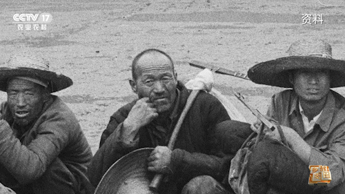 关中地区帮忙收割麦子简单地背些干粮,衣物"麦客"在麦收时离家"麦客"