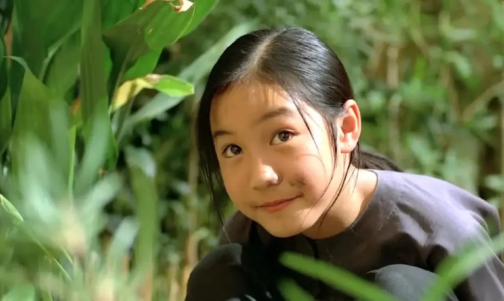图片[2]-撩人的越南电影，每一帧都美如画《青木瓜之味》-68影视
