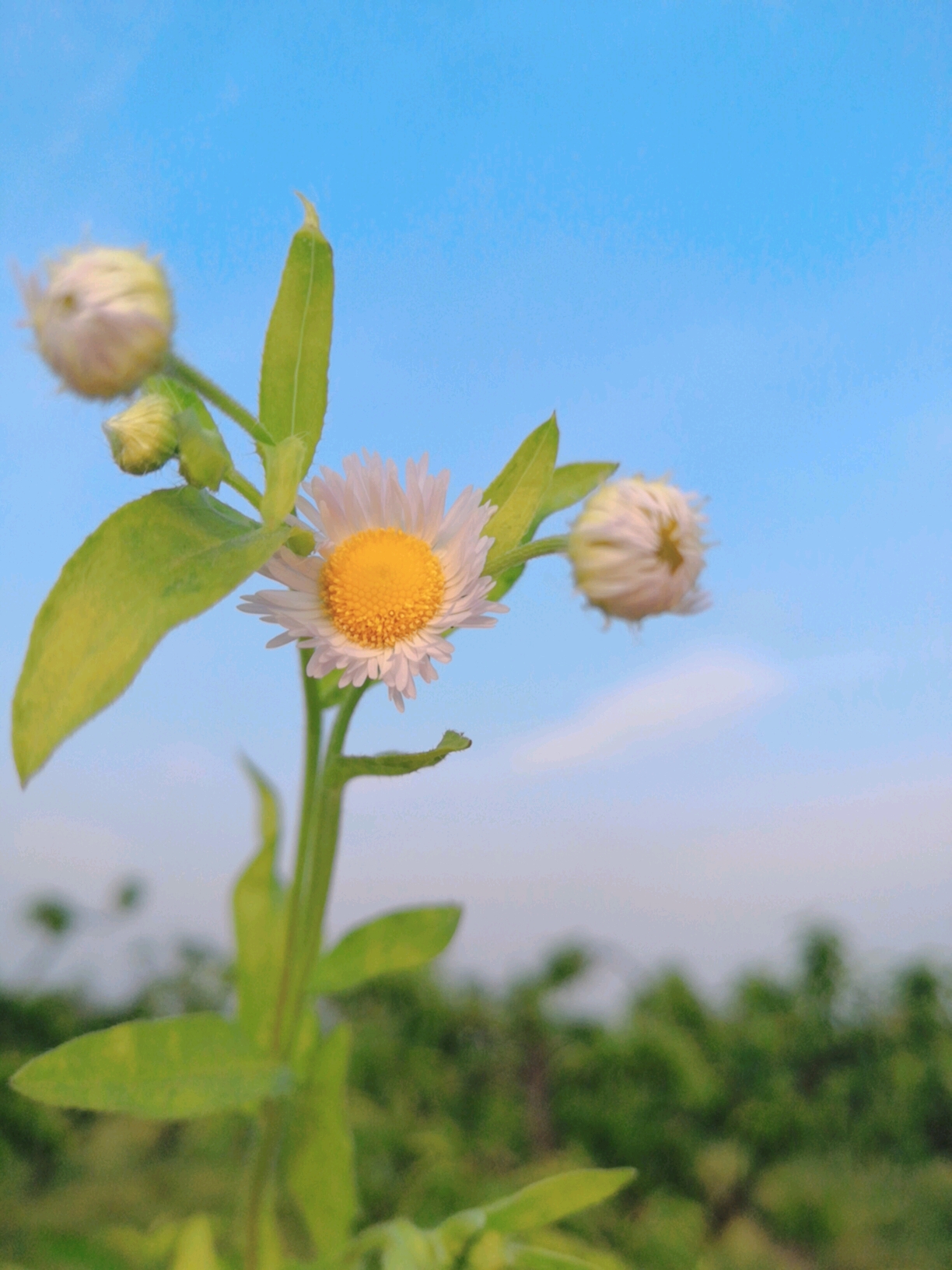 生活中的小确幸