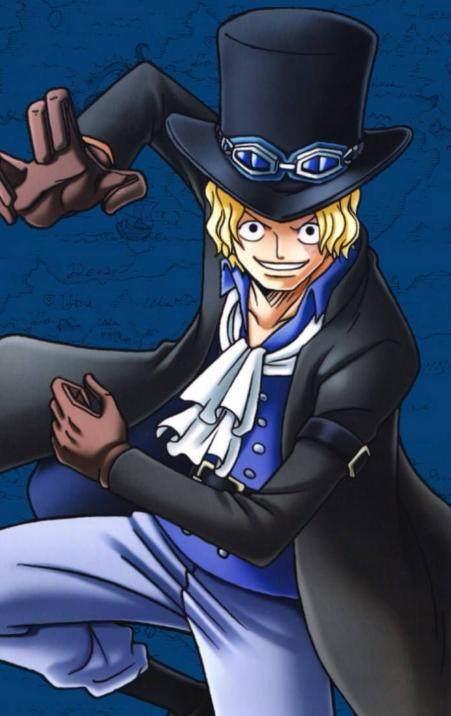 海贼王排名前十的帅哥,第一名赏金3.3亿,通缉令