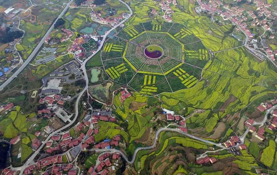 贵州田间的八卦图风光