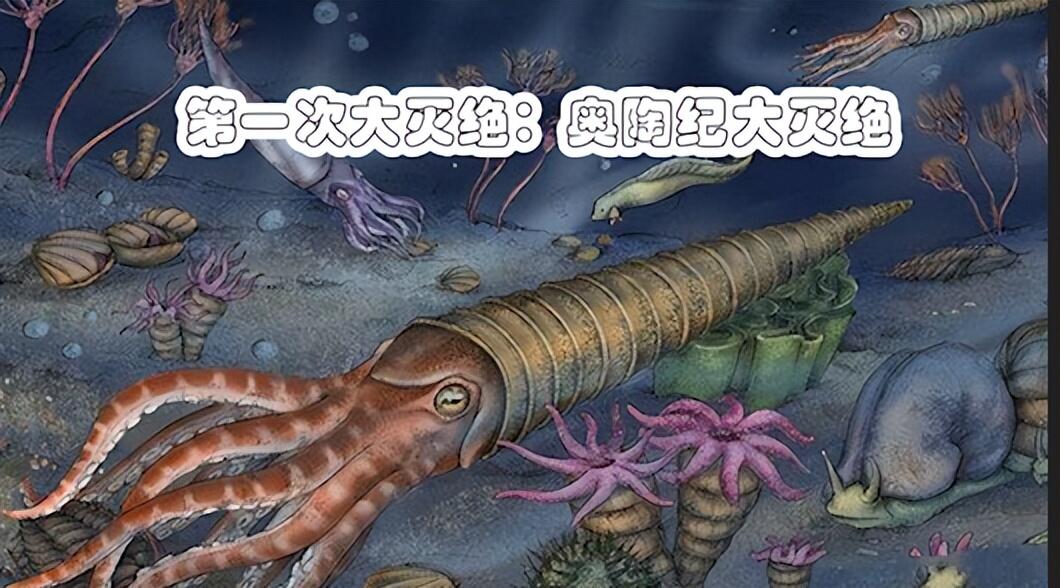 地球上发生过五次生物大灭绝,第六次正在进行中,我们能做些什么 - 哔哩哔哩