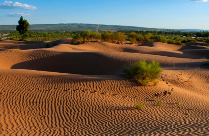 又一黑科技亮相了,把千顷沙漠变成了绿洲,西方酸了:中国太牛