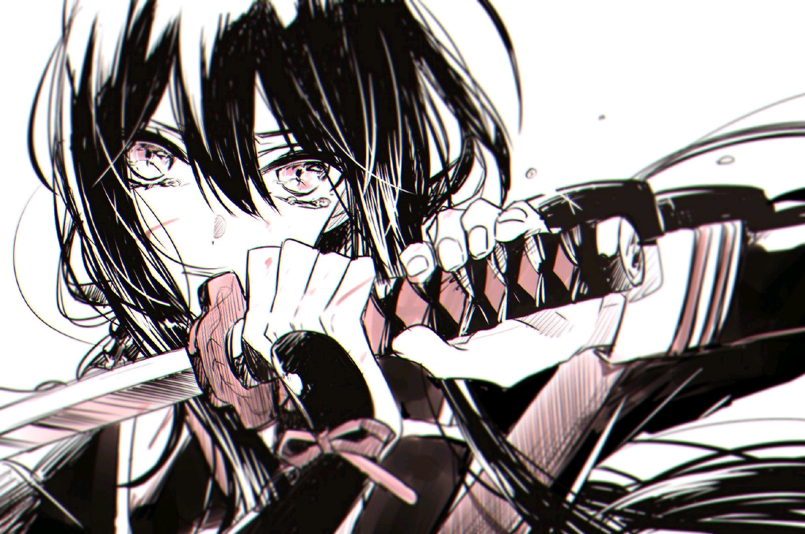 刀剑乱舞(黑白双子!