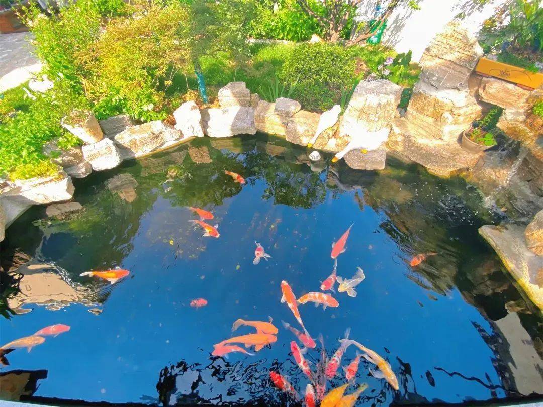 度假村假山鱼池项目 - 长沙观宇园林绿化有限公司