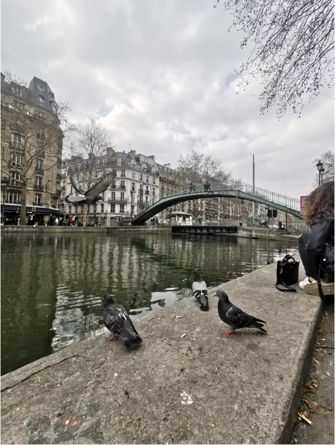 华为P30 Pro对比三星S10+ 拍照:各有优势