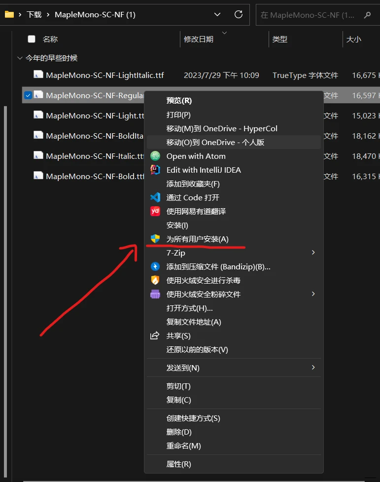  idea vscode jetbrains mono maple mono 