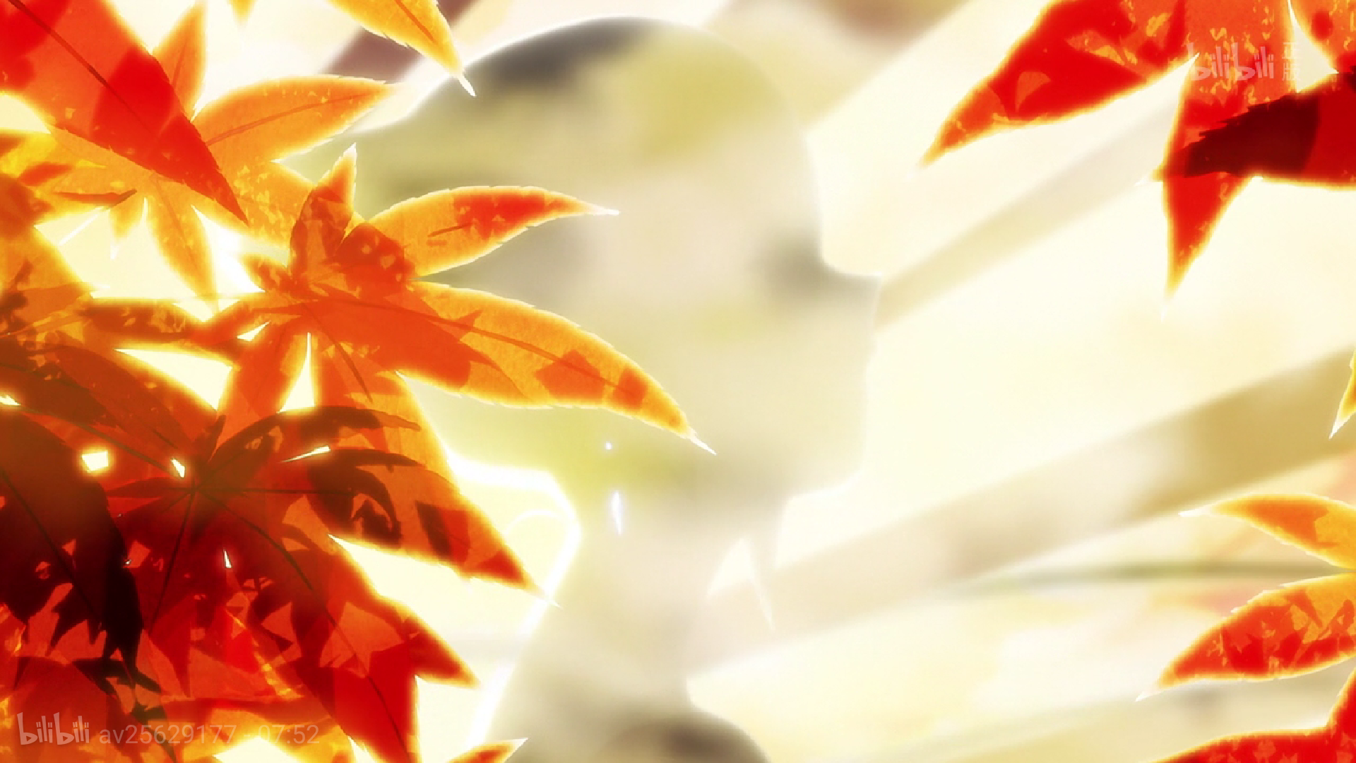 动画 动漫杂谈 我们迎面相遇,却擦肩而过       我们走到一片枫叶林下