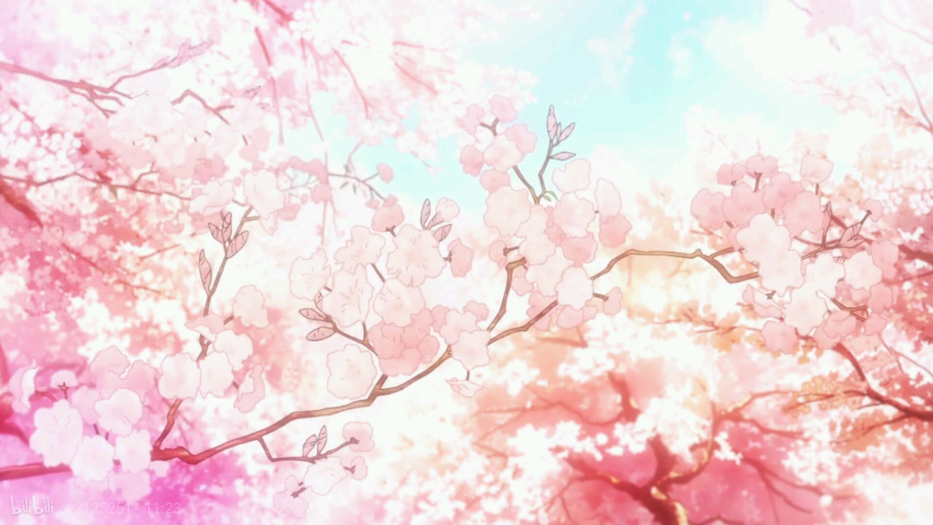 樱花朵朵开,粉嫩满世界