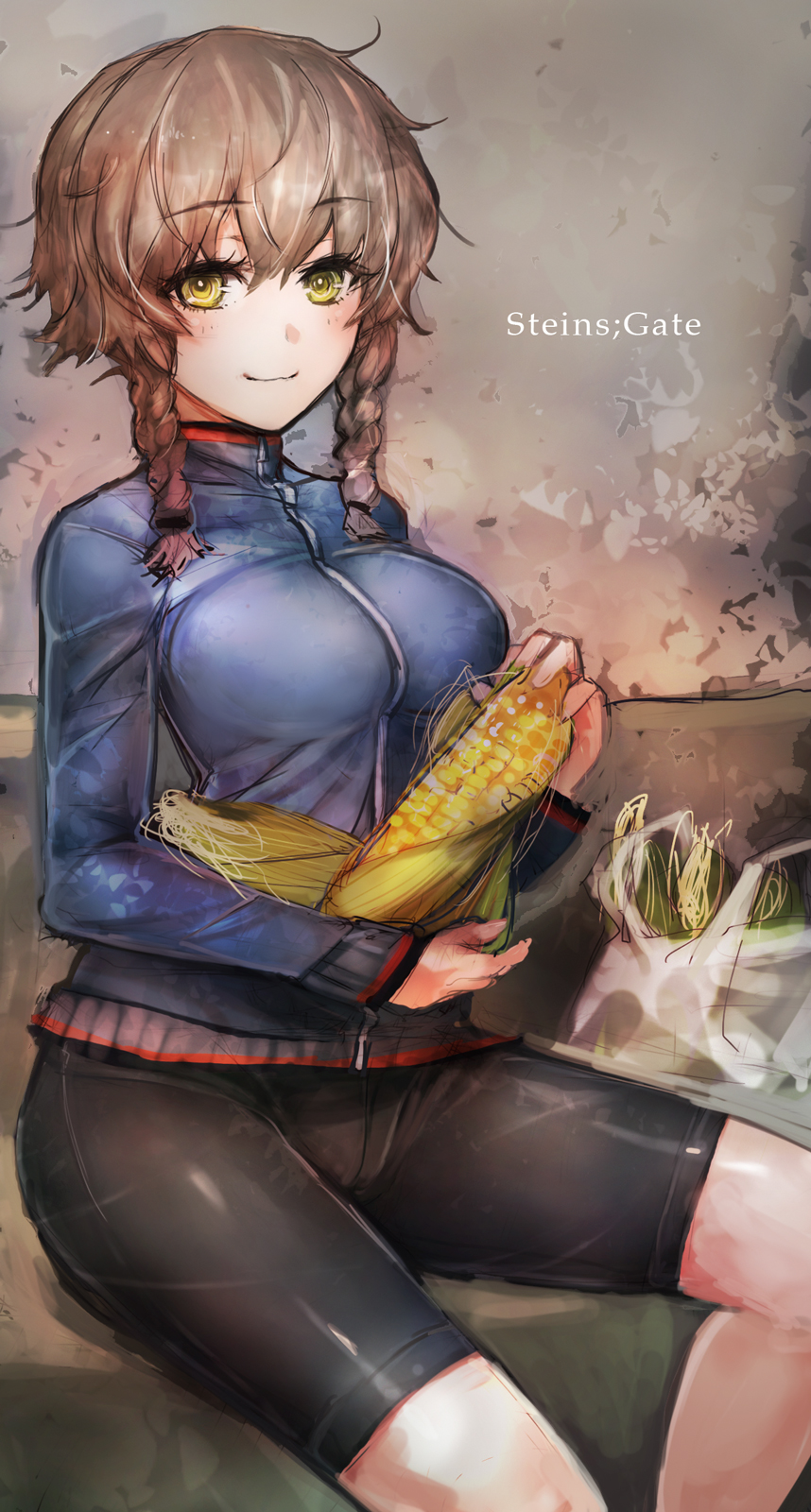 命运石之门壁纸第三弹(铃羽篇)