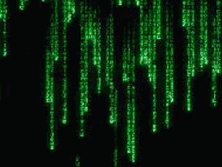 c语言c程序员编程一小时做出来的数字雨一颗开花的树