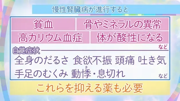 慢性腎臓病の新しい薬やビッグデータを解析した新たな治療戦略について 哔哩哔哩
