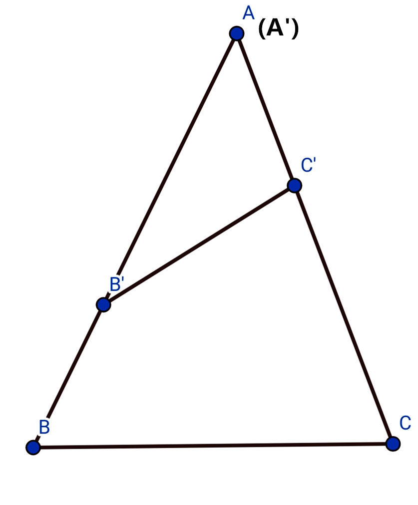 (一)[基本结论模块化](结论1-24:面积+角)