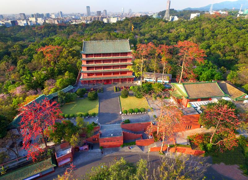 《我的越秀山故事》征文选登:把越秀山放在头条(陈锡忠)