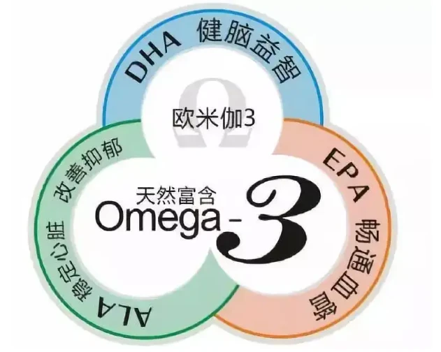 DHA排行榜 脂肪酸知识详解 - 哔哩哔哩