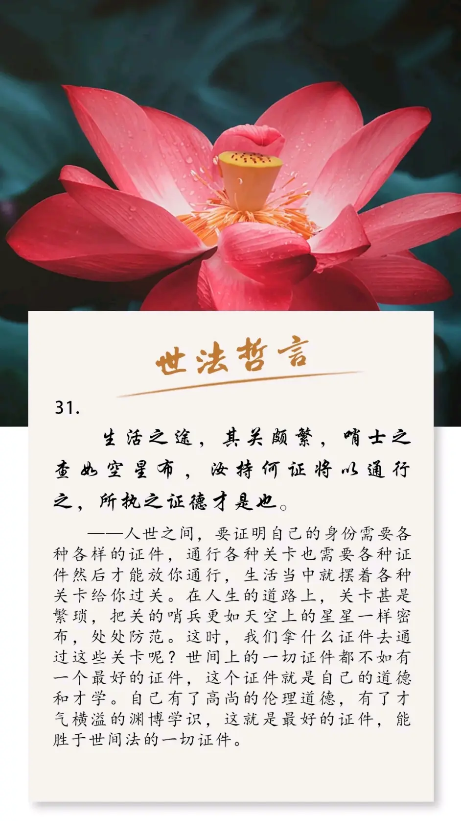 《哲言精选》图片版(31—40) - 哔哩哔哩