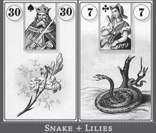 #利诺曼# #雷诺曼# #the Essential Lenormand 翻译#7.snake 蛇 - 哔哩哔哩