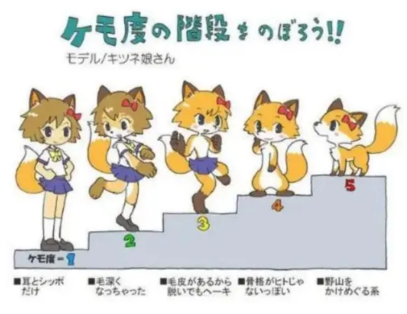 借着番剧 Bna 科普一下什么是furry 上篇 哔哩哔哩