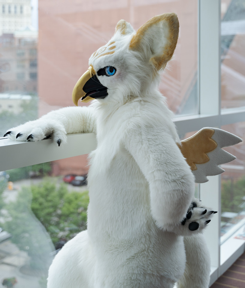 《鸟系》图集(二)