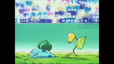 小智宝可梦风云录no7妙蛙种子