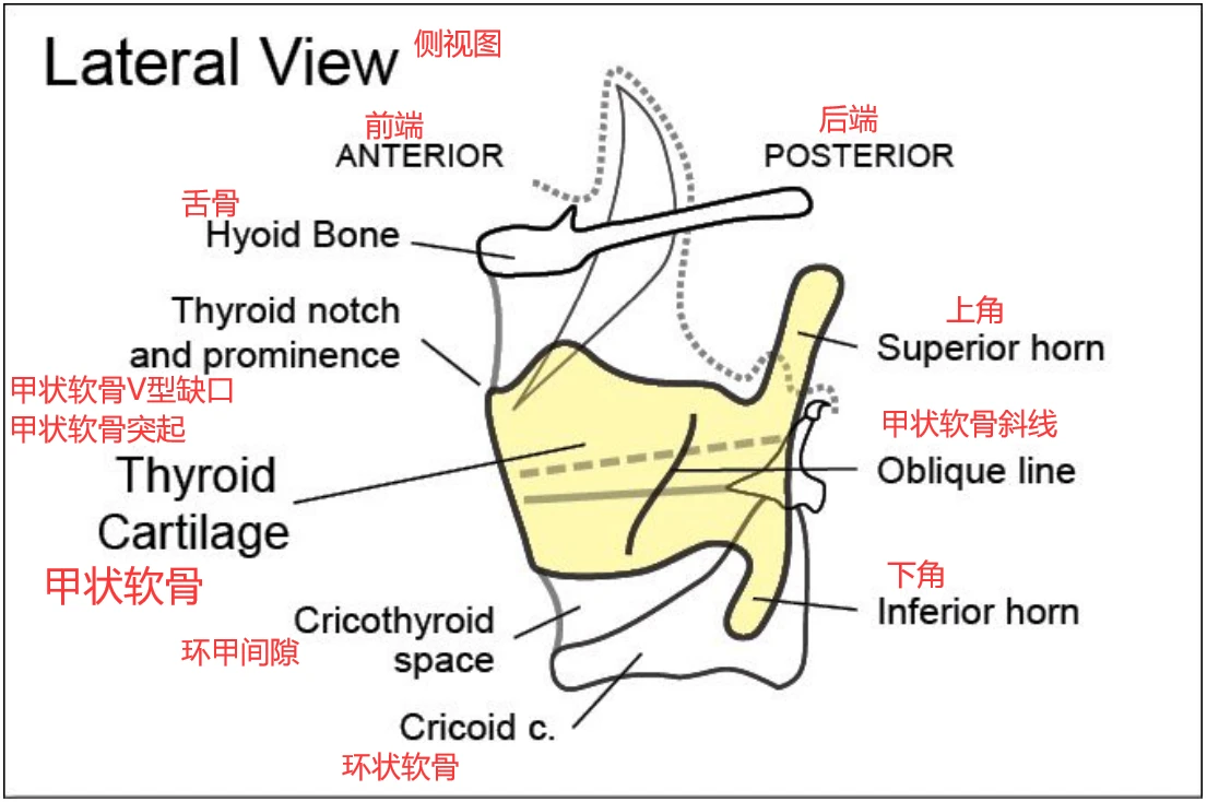 Estill Voice Model最新译段 第七章2 哔哩哔哩 Estill Voice Model最新译段 第七章2 哔哩哔哩