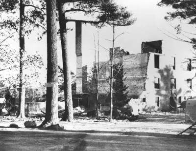 鼠库全书丨关于BALB/c，你真的真的了解吗？ - 哔哩哔哩